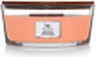 Productafbeelding WoodWick Manuka Nectar