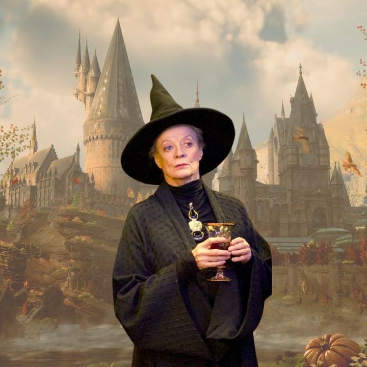 Produktbild Noble Collection Harry Potter Zauberstab Professor Minerva McGonagall (Charak