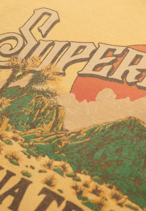 Actual product image Superdry Souvenir Graphic Loose Crew (M)