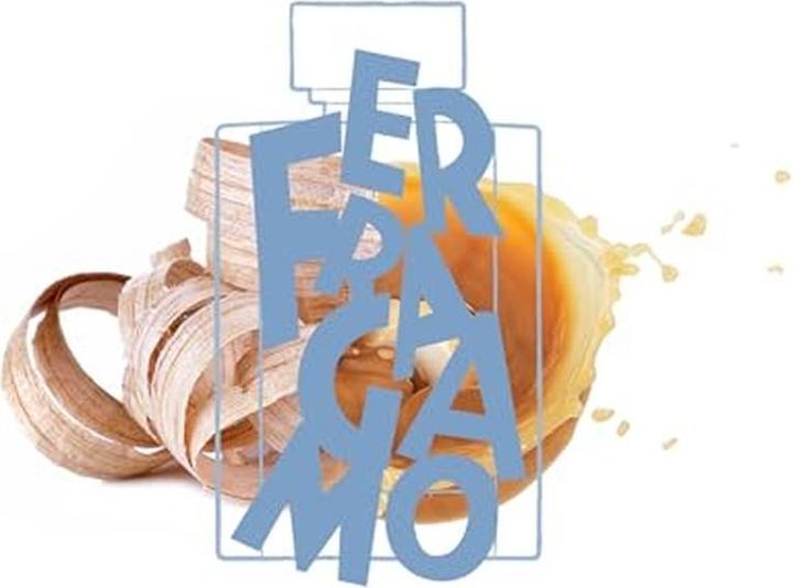 Produktbild Salvatore Ferragamo Uomo Casual Life (Eau de Toilette, 100 ml)