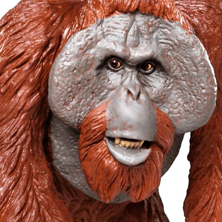 Image du produit Safari Wlw Borneo Orang-outan