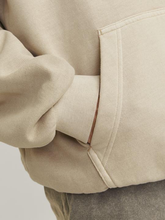 Produktbild Jack & Jones Gedruckt Kapuzenpullover Kapuzenpullover (XS)