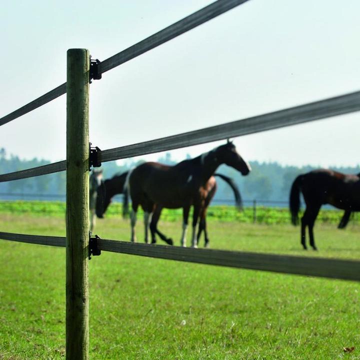 Produktbild Gallagher Schriklint PowerLine (40 MM / Terra) - 200 Meter