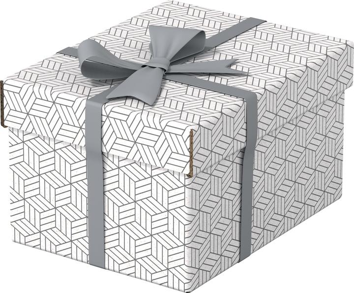 Actual product image Esselte HOME - Storage boxes (20 x 15 cm)