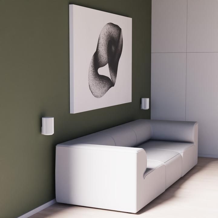 Actual product image Cavus CMSE100XSW2 (Wall installation, Rotatable)