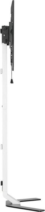 Image du produit Techly TV Standfuss Super Slim (70", 40 kg)