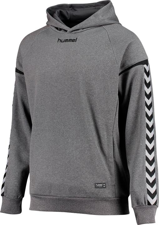 Produktbild hummel Authentic Charge Poly Hoodie (116)
