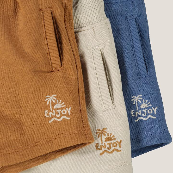 Image du produit La Redoute Collections Lot de 3 shorts en sweatware (74)
