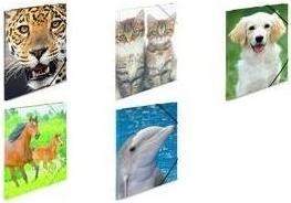 Image du produit HERMA Porte-documents A4 Motif (A4, 1 x)