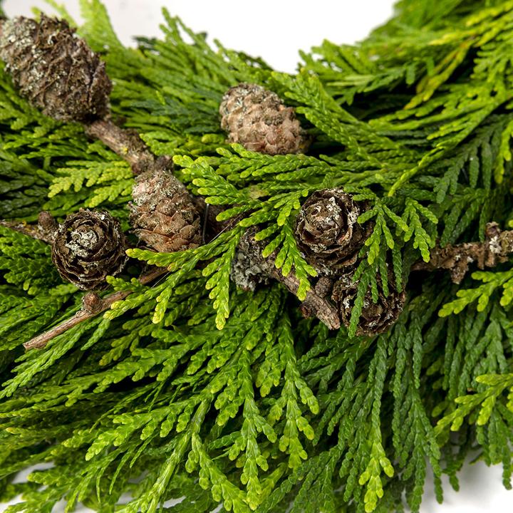 Image du produit VEG and the City Couronne de l'Avent en mélèze - bougie rouge vin (35 cm)