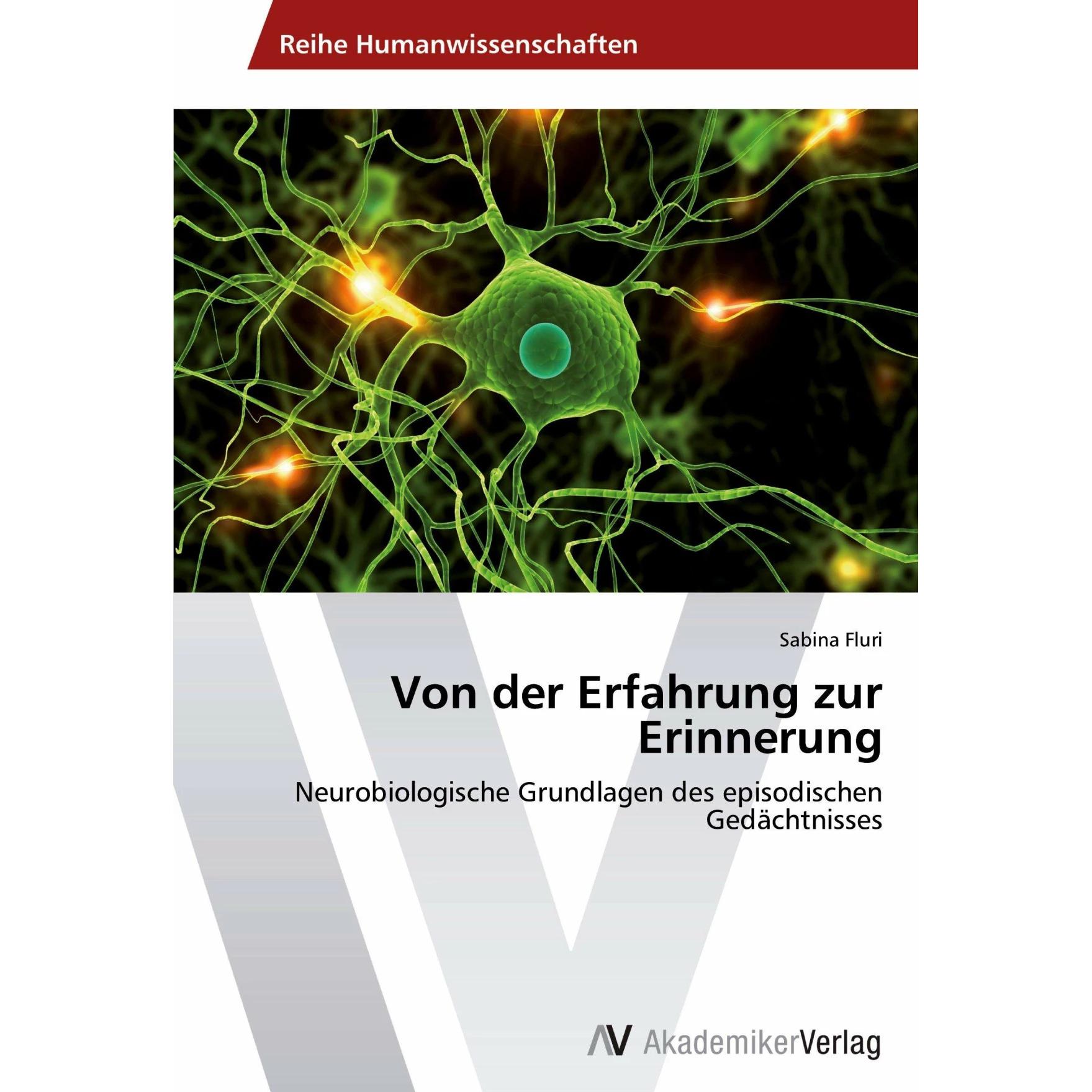 Von der Erfahrung zur Erinnerung, Fachbücher von Sabina Fluri
