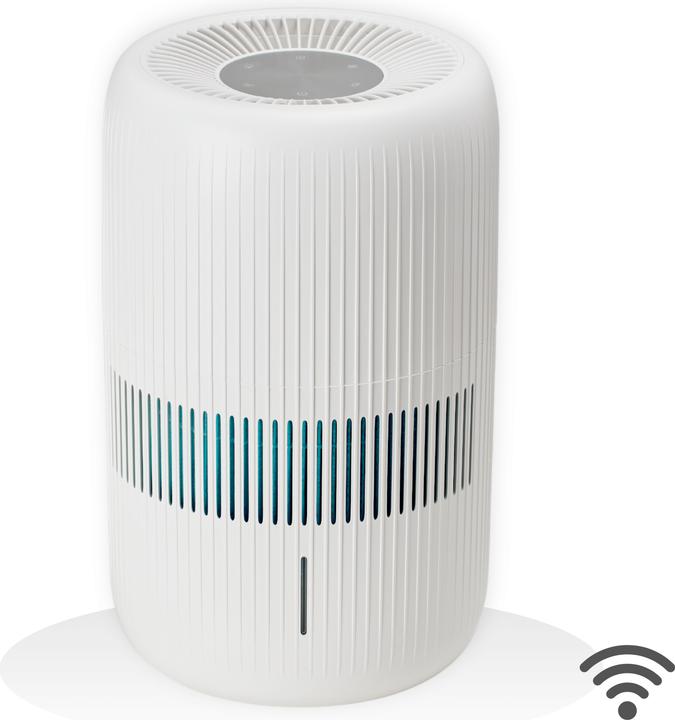 ecofort ecoQ HumidAir E600+ (80 m²)