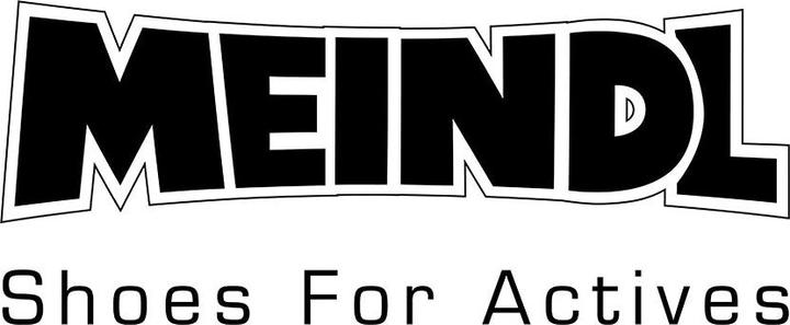 Actual product image Meindl Provider Pro GTX, Sand (41.5)