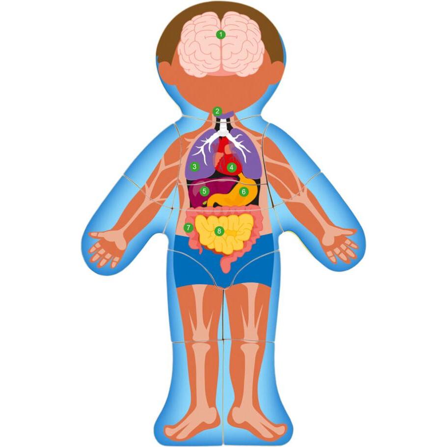 Woody 91922 Eco Lernspielzeug aus Holz (WD91922)