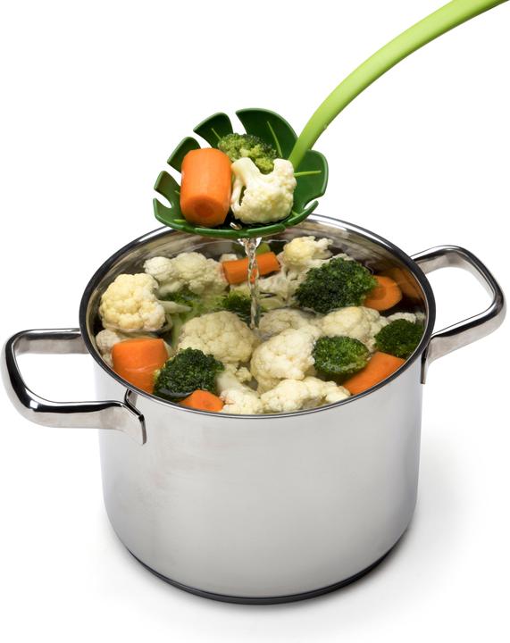 Actual product image Ototo Jungle Spoon