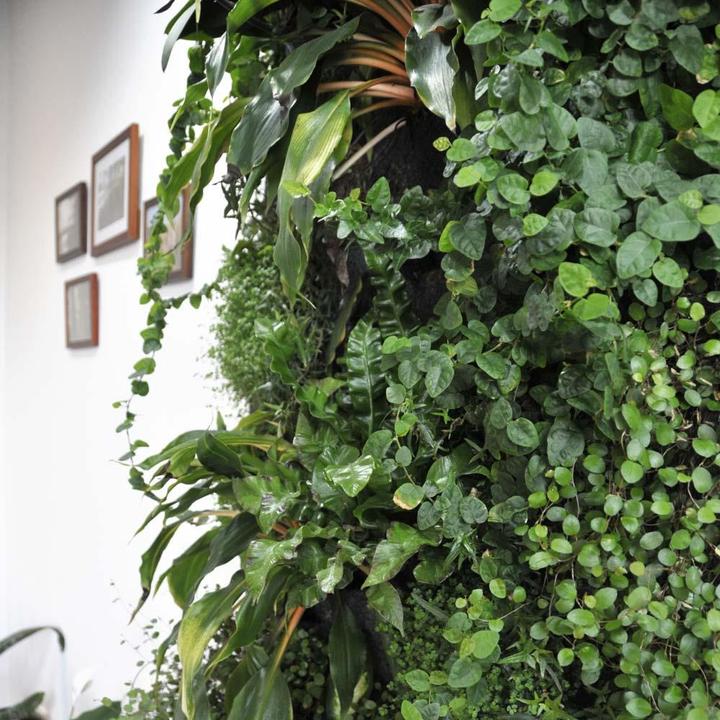 Produktbild Vivit Inox - Vertikaler Garten