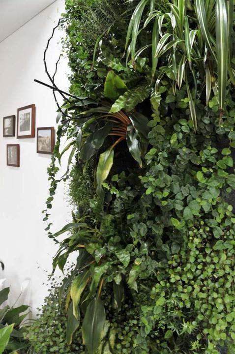 Produktbild Vivit Inox - Vertikaler Garten