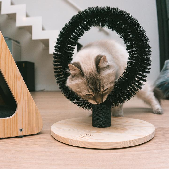 Image du produit EBI Duvo+ LED Flash Ball (Jouet à balle chien)