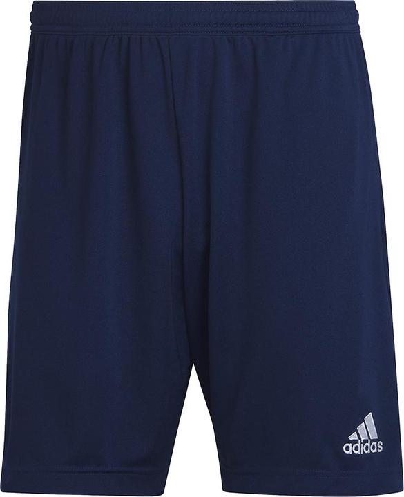 Actual product image adidas Entrada 22 training shorts men (L)