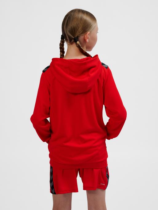 Immagine prodotto hummel Hmlauthentic Pl Hoodie Kids (164)