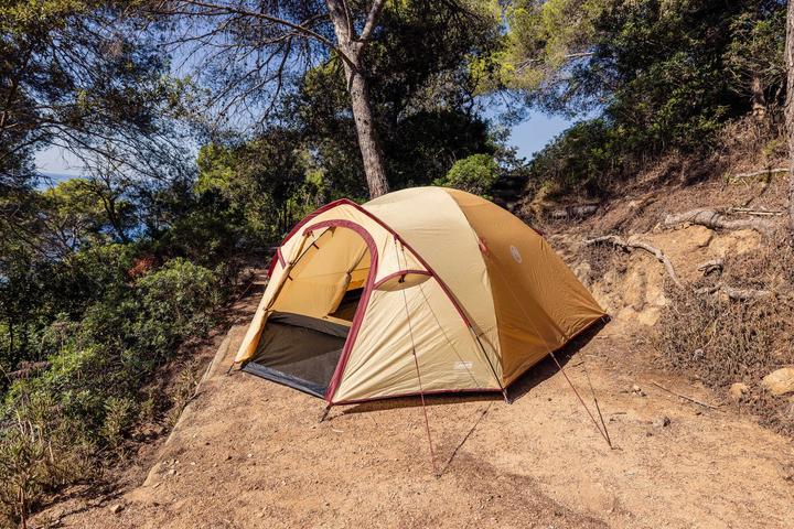 Actual product image Coleman Darwin Summer 4 Plus (Dome tent, 4 persons)