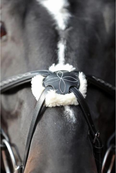 Immagine prodotto Kerbl Briglia Snaffle Cancun nera, pony