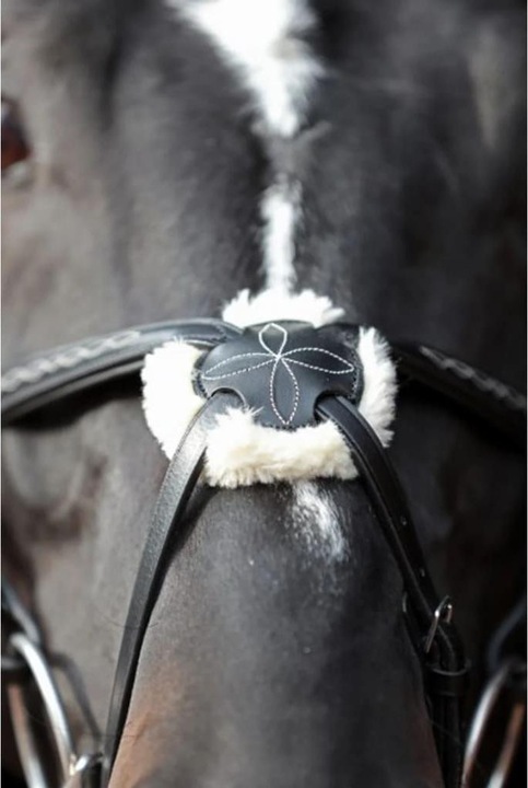 Actual product image Kerbl Snaffle bridle Cancun black, pony