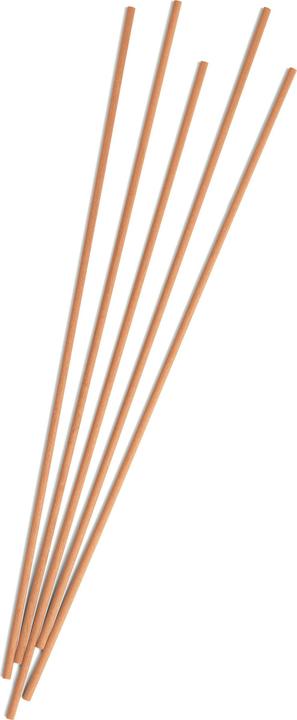 Actual product image Ipuro Fragrance sticks 240ml