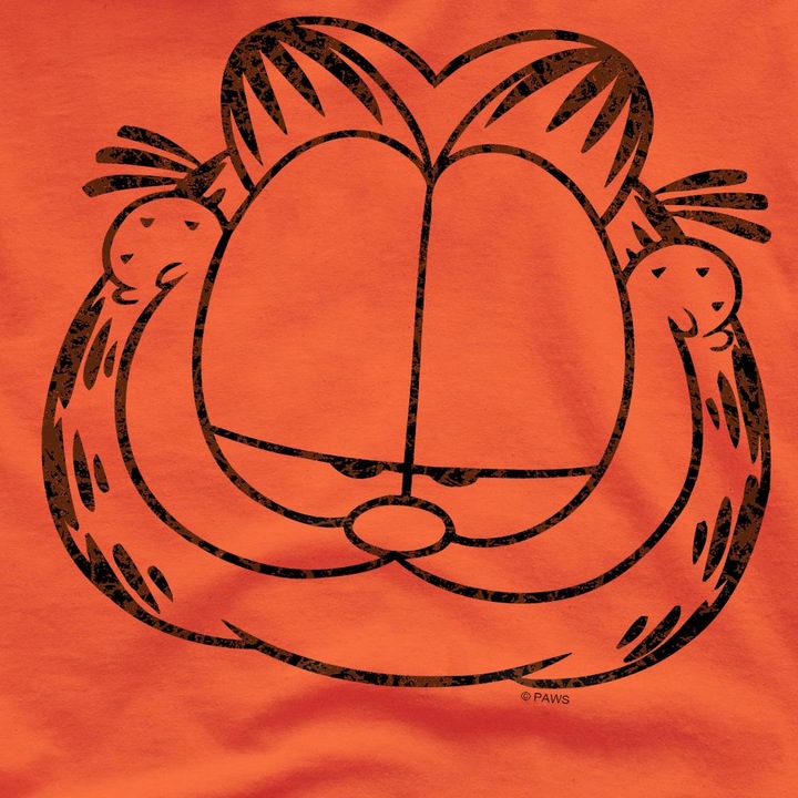 Immagine prodotto Garfield Smirking Maglietta Effetto invecchiato Uomo (4XL)