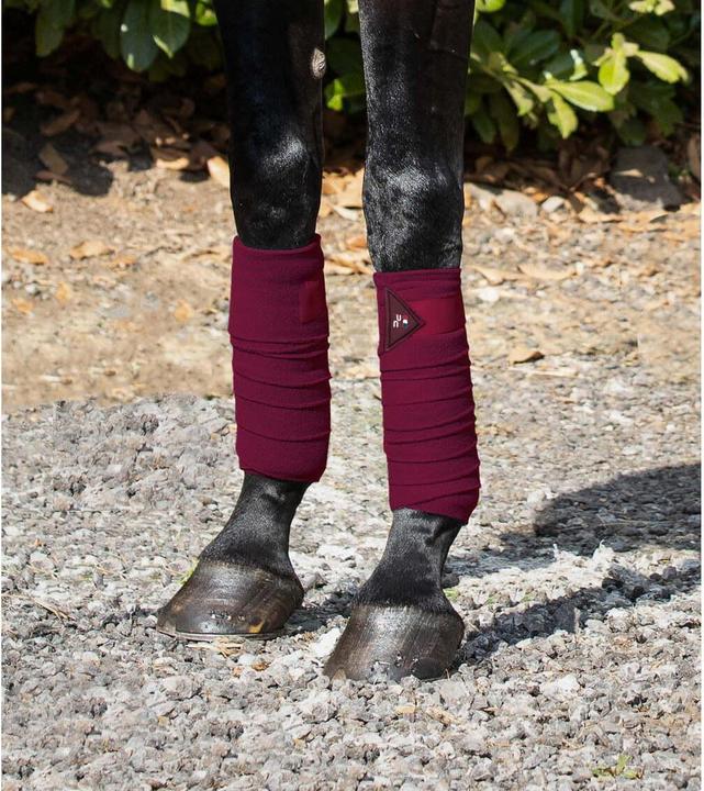 Actual product image Premier Equine Pack of 4 Polo shirt bands for horse