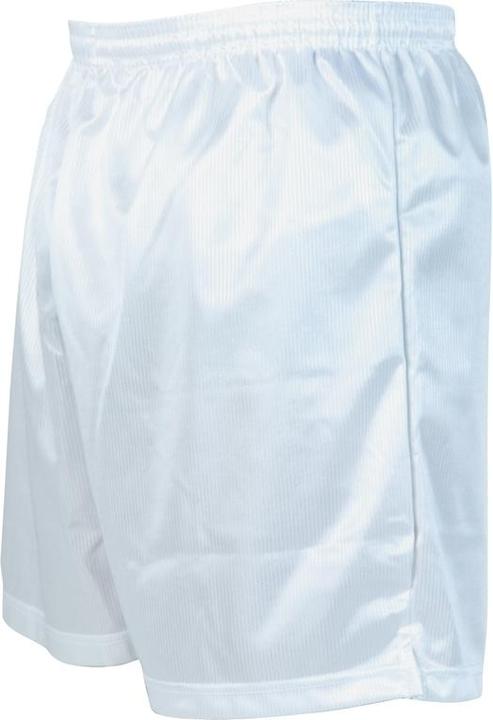 Precision Micro-stripe shorts (S)