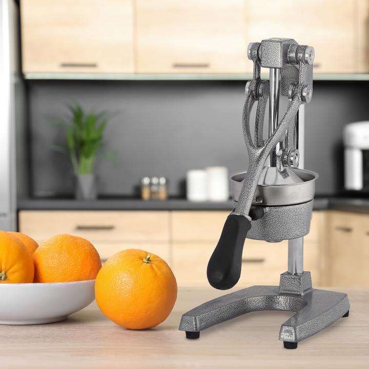 Actual product image Relaxdays Juicer