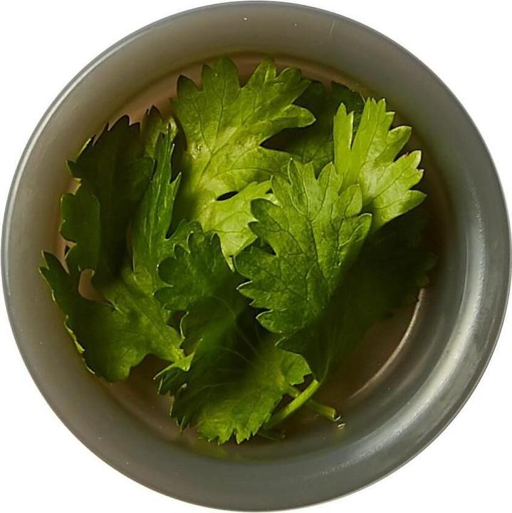 Actual product image Black + Blum Original