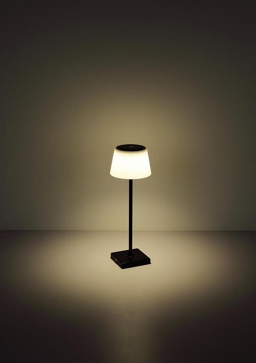 Actual product image Globo Gregoir (310 lm)