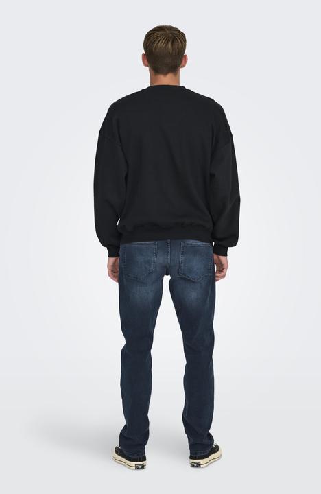 Image du produit Only & Sons Onsturner Life Vtg Crew Neck Sweat Noos (L)
