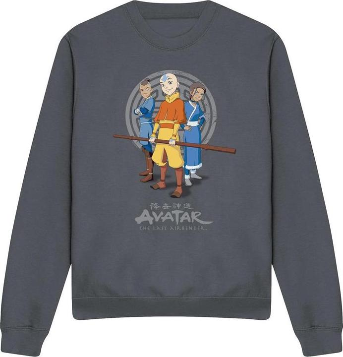 Immagine prodotto Avatar: The Last Airbender Team Avatar Felpa Adulto Unisex (M)