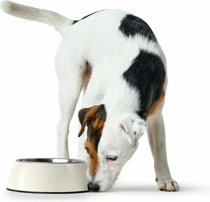 Immagine prodotto Hunter Ciotola in melamina (1.40 l)