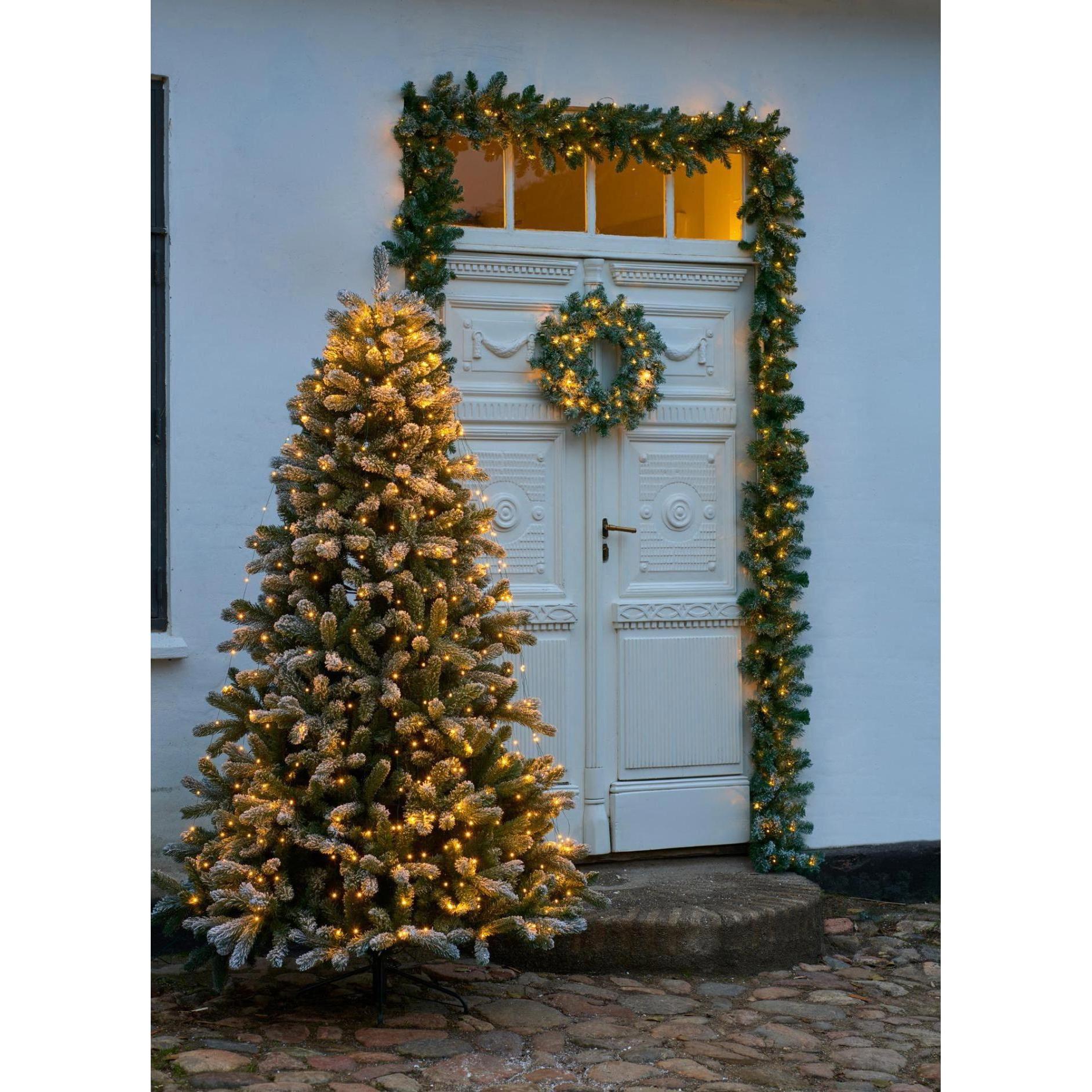 Thumbnail - Sirius, Weihnachtsbaum, Anton (240 cm)