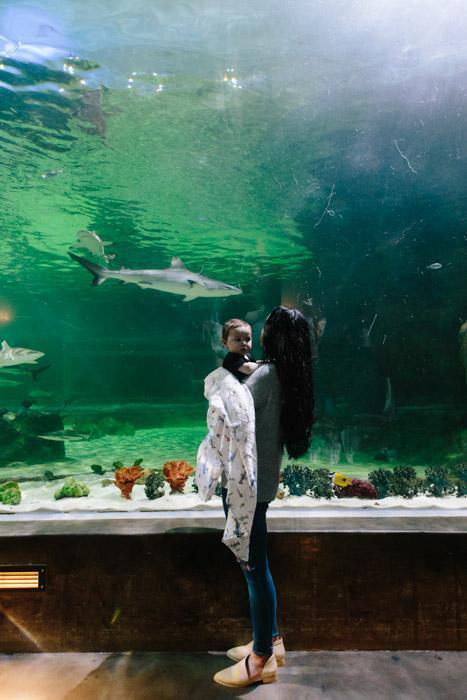 Actual product image little unicorn Swaddle Singles (120 cm, 120 cm)