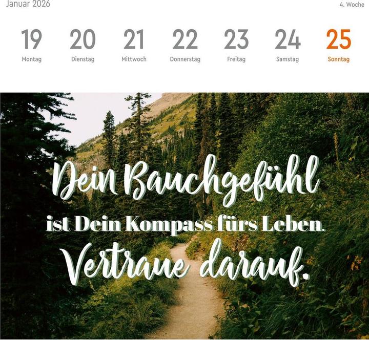 Produktbild Visual Statements Premium-Postkartenkalender 2026 (16.5 x 17.7 cm)