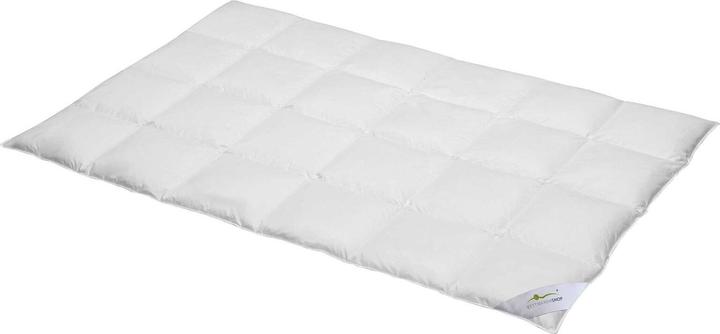 BettwarenShop Exclusive (1470 g, 240 x 220 cm)