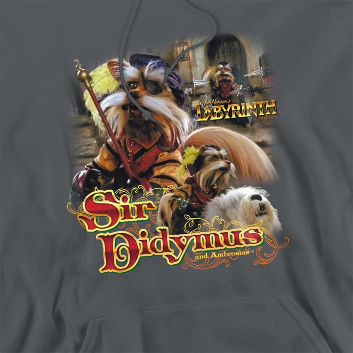 Produktbild Kapuzenpullover (XL)