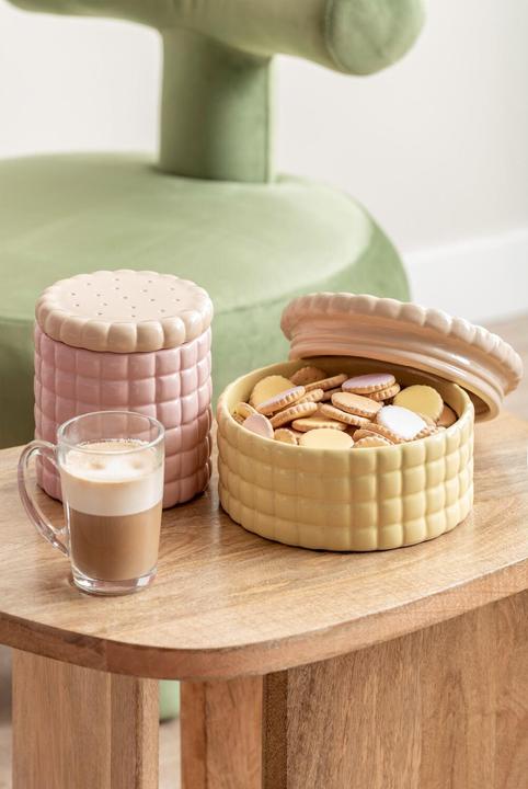 Actual product image present time Storage Jar Biscuit Box Large (4.85 l)