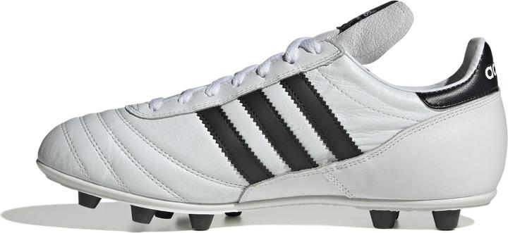 Actual product image Adidas Copa Mundial FG football boots (46)
