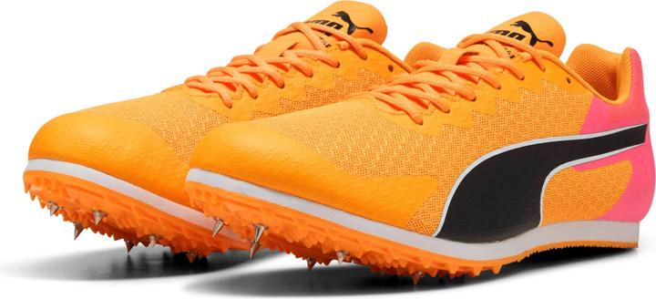 Image du produit Puma evoSPEED Star 9 (37)