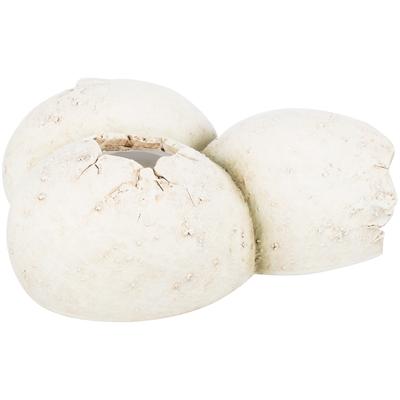 Thumbnail - Trixie Reptile cave, eggs, polyester resin, 15 × 6 × 12 cm, Terrariumeinrichtung