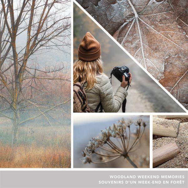 Produktbild Yankee Candle Duftwachsplättchen Woodland Weekend Memories