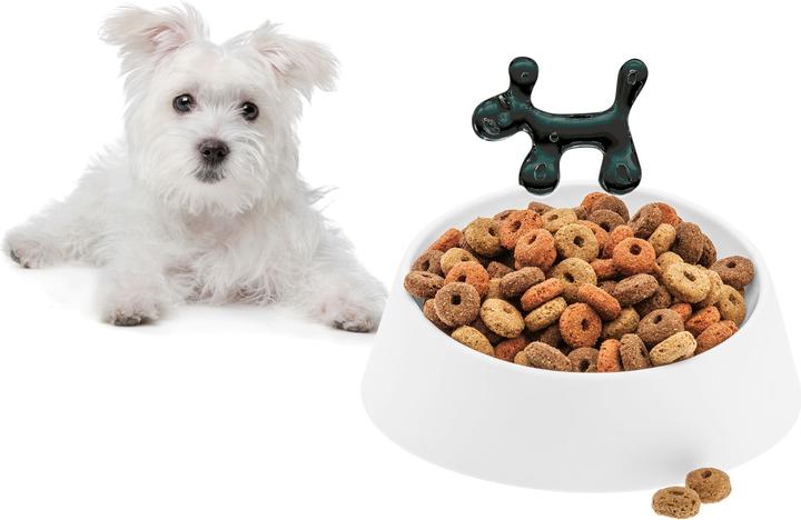 Produktbild Koziol Wow Hundenapf