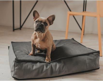 Actual product image Hunter Dog cushion orthopedic Merida (Dog)