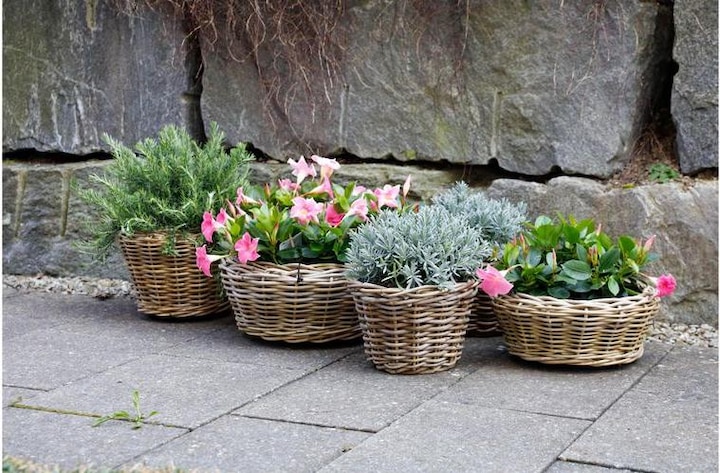 Actual product image Jaco Rattan Basket (35 cm)